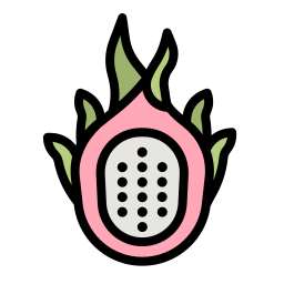 Dragon fruit icon