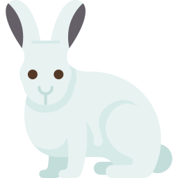 Hare icon