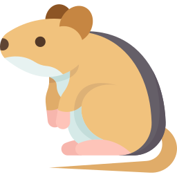 Rodent आइकन