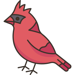 uccello cardinale icona