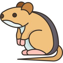 roedor icono