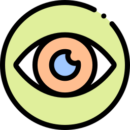 vision icon