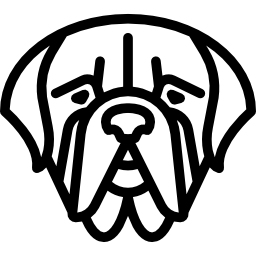 dogge icon