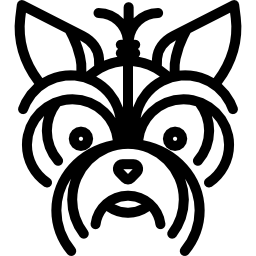 yorkshire terrier Icône