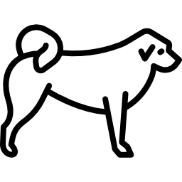 tibetischer mastiff icon