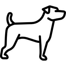 jack russell terrier Icône
