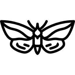Leaf Butterfly icon