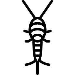 Silverfish icon