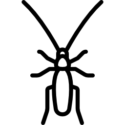 cucaracha icono