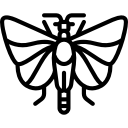 strepsiptera icono