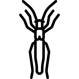barrenador del muelle icono