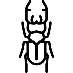 stag beetle Ícone