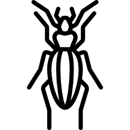 scarabée doré Icône
