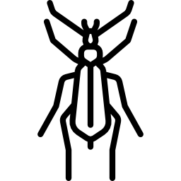 escarabajo soldado rojo icono