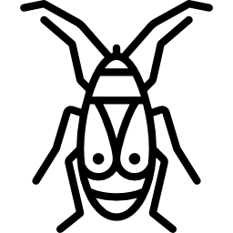 pyrrhocoridae Ícone