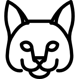 ターキッシュアンゴラ猫 icon