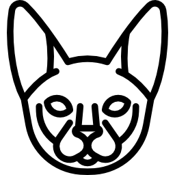 gato peterbald icono