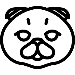 Scottish Fold Cat icon