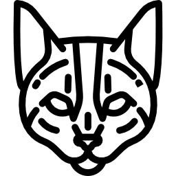 gatto del bengala icona