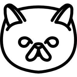 exotische kurzhaarkatze icon