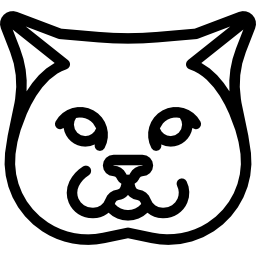 britisch kurzhaar cat icon