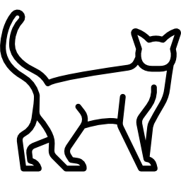 Snowshoe Cat icon