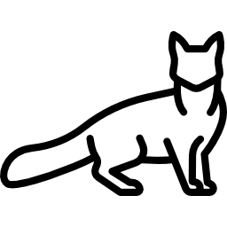 gato angorá turco Ícone