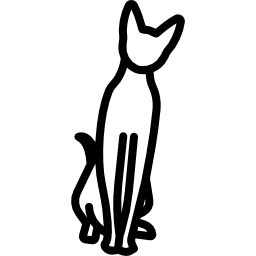 gato peterbald icono