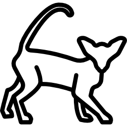 Восточная кошка иконка