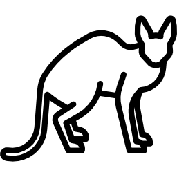 gato rex cornish Ícone