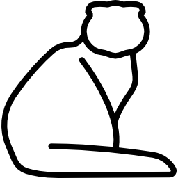 gato scottish fold icono