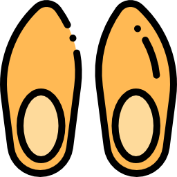 Clogs icon