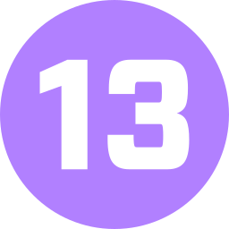 13 icon