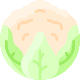 Cauliflower icon