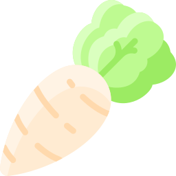 daikon icoon