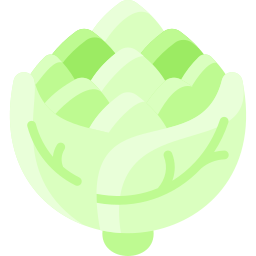 broccolo romanesco icona