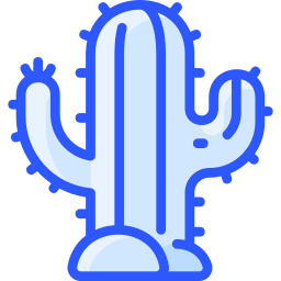 cactus icoon