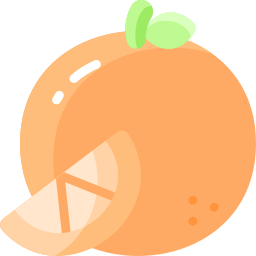 Orange icon