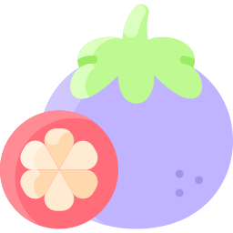 Mangosteen icon