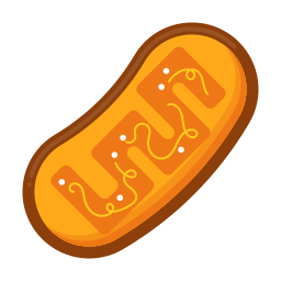 la biologie Icône