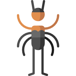 Spider icon