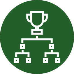 campeonato icono