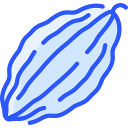 Bitter gourd icon