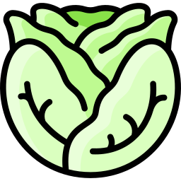 Cabbage icon