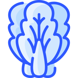 Bok choy icon