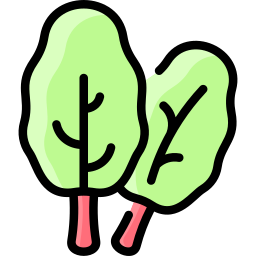 Rhubarb icon