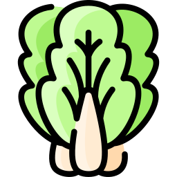 bok choi icon