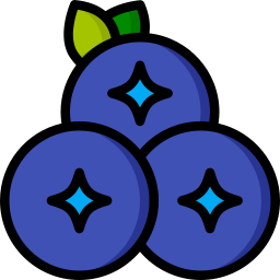 Blueberries icon