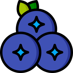 블루 베리 icon