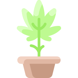 planta icono